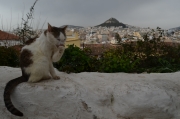 Wat als de zon eens niet schijnt in Athene